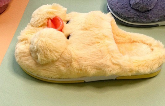 پاپوش زنانه جوجه